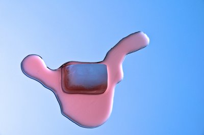 Fresh colors_5026395135_l.jpg